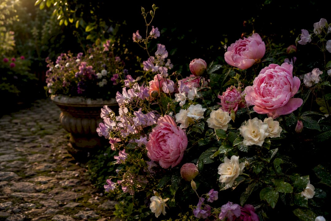 Close-up of fragrant garden flowers in bloom