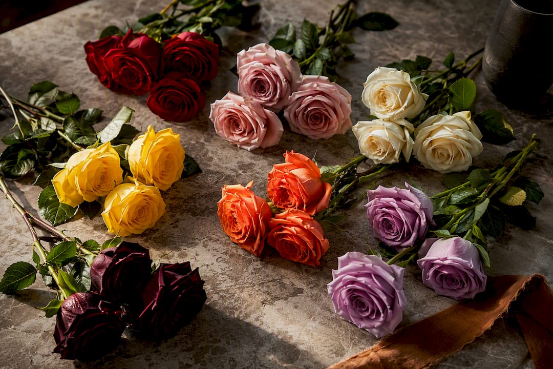 Cropped roses grouped by color and count