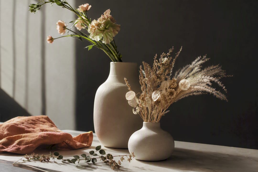 Fresh and dried flower stems in contrast