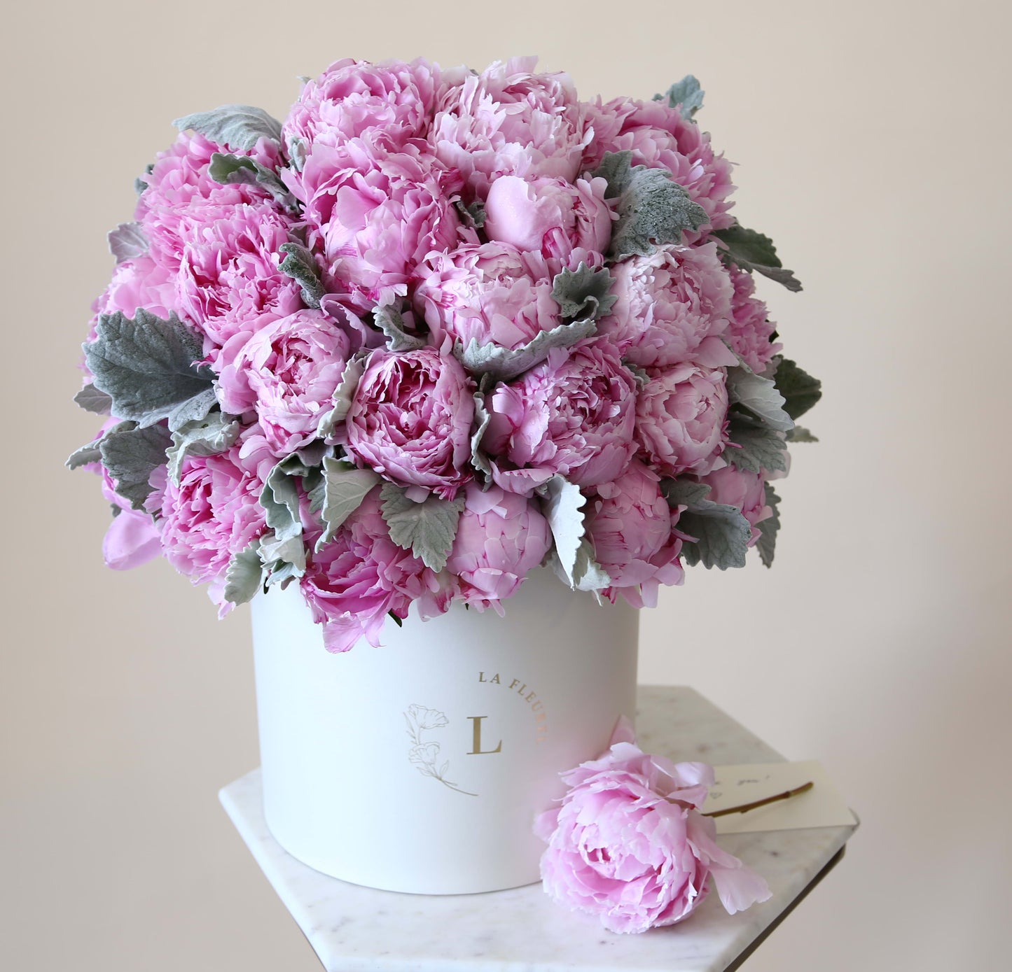 Gorgeous Peonies